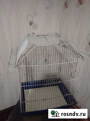 Клетка Комсомольск-на-Амуре - изображение 1