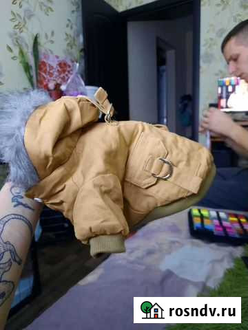 Куртка для собаки Тольятти - изображение 1