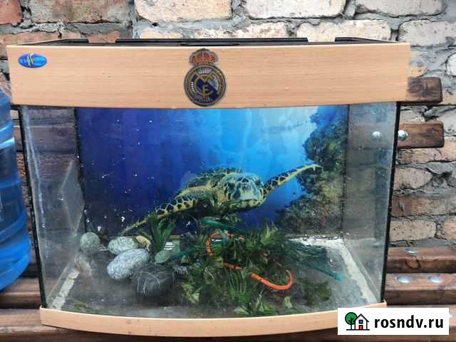 Аквариум Новочеркасск - изображение 1