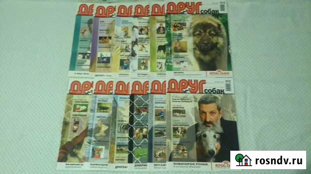 Журналы про собак Тольятти - изображение 1