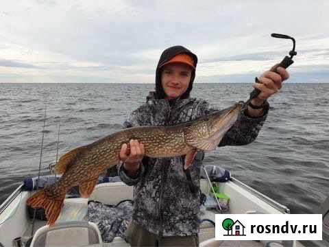 Рыбалка Астрахань. База отдыха Житное Оранжереи - изображение 1