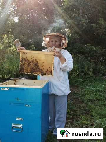 Мед 2021 года Ишимбай - изображение 1