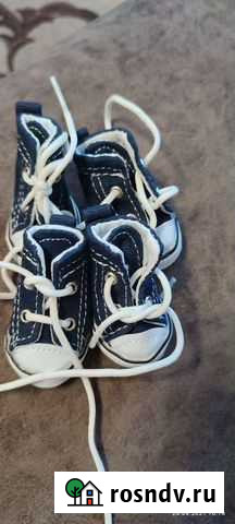 Кеды для маленькой собачки Заринск - изображение 1