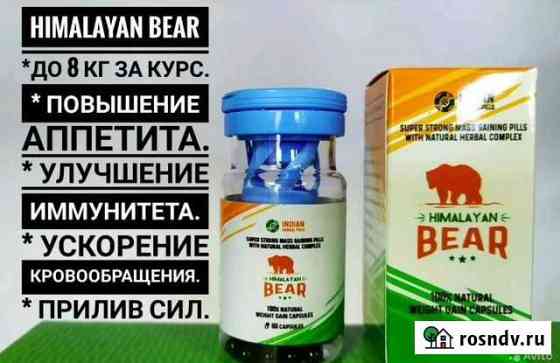 Bear для набора веса Грозный