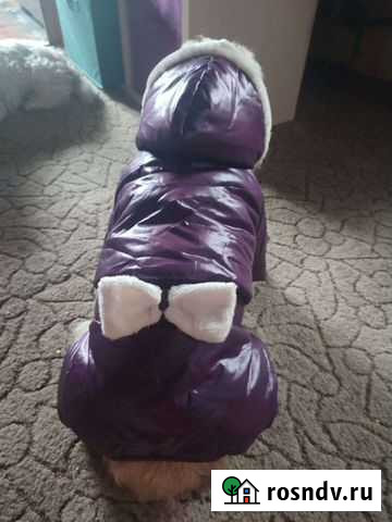 Зимний комбинезон для собак Столбовая - изображение 1