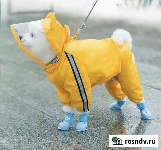 Дождевик для маленькой собаки S Королев - изображение 1