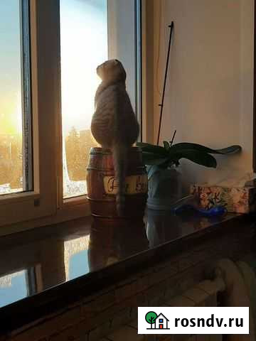 Ремонт окон любой сложности Тамбов - изображение 1