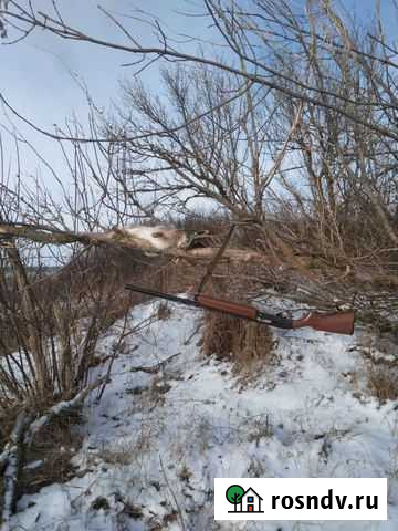 Дробь на обмен Кулешовка - изображение 1