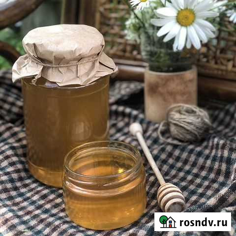 Мед липовый Петропавловск-Камчатский - изображение 1