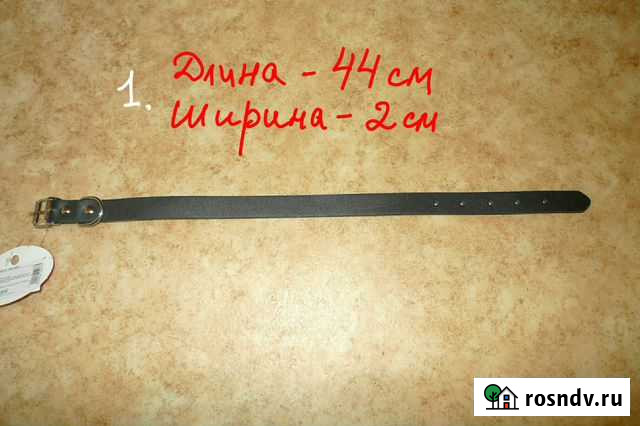 Ошейник Мурманск - изображение 1