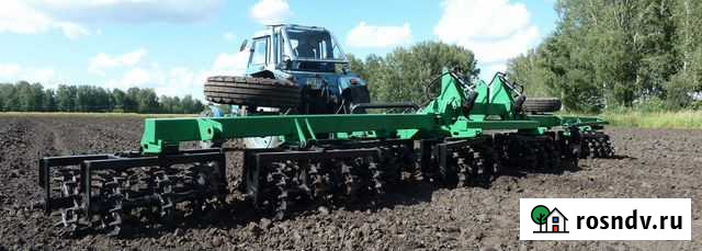 Каток кольчато шпоровый Краснообск - изображение 1