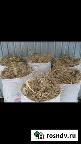 Сено в мешках Абакан - изображение 1