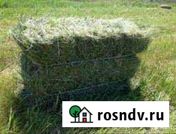 Сено в тюках Волгоград - изображение 1