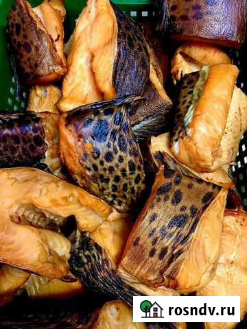 Зубатка, окунь морской Х/К и Г/К из Мурманска Киров - изображение 1