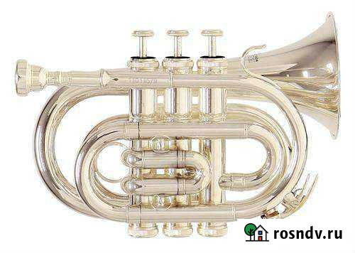 Карманная труба Roy Benson PT-101S Bb Москва - изображение 1