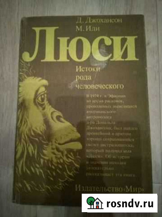Книга Люси Балахна - изображение 1
