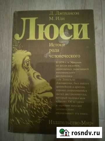 Книга Люси Балахна - изображение 1
