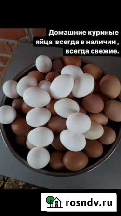Домашние куриные яйца Южноуральск - изображение 1
