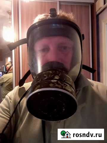 Уничтожение насекомых Санкт-Петербург - изображение 1