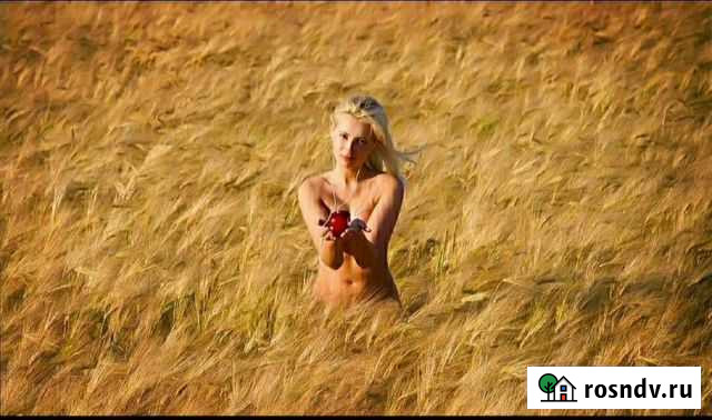 Ячмень Заветный - изображение 1