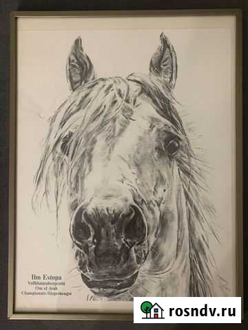 Картина Советск - изображение 1