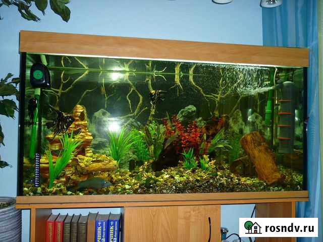 Аквариум с тумбой и оборудованием (300 литров) Ухта - изображение 1