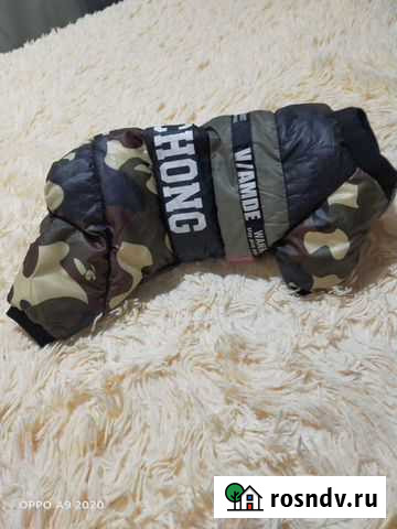 Одежда для собак Волгодонск - изображение 1