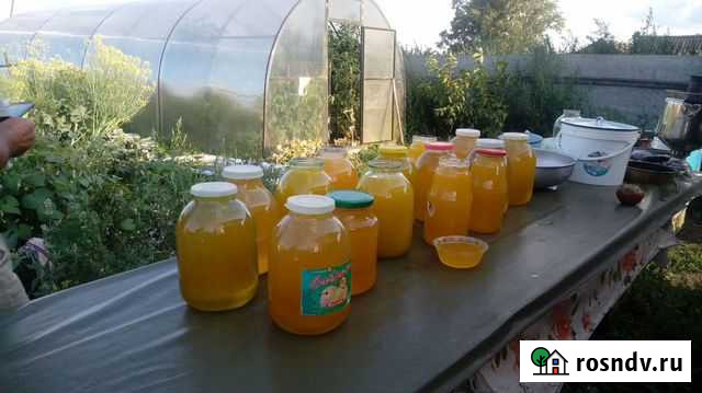 Мед Чистополь - изображение 1