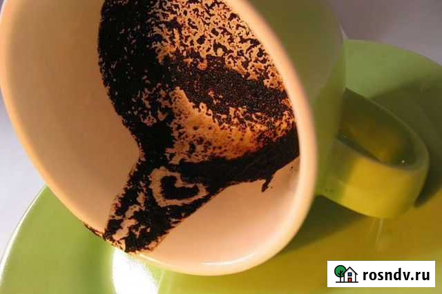 Обучающие курсы Ростов-на-Дону - изображение 1