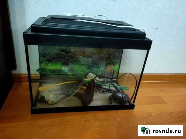 Аквариум Подольск - изображение 1