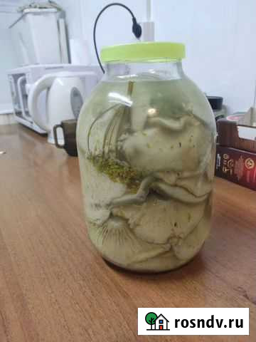 Грибы грузди соленые Ухта - изображение 1