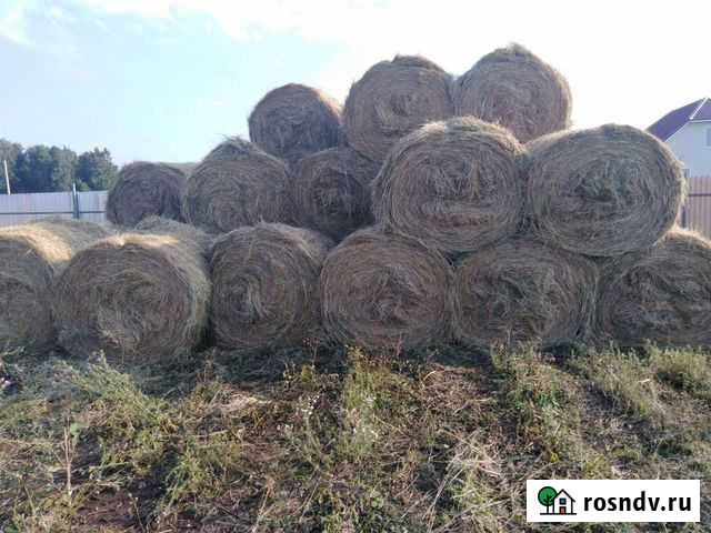 Сено Аргаяш - изображение 1