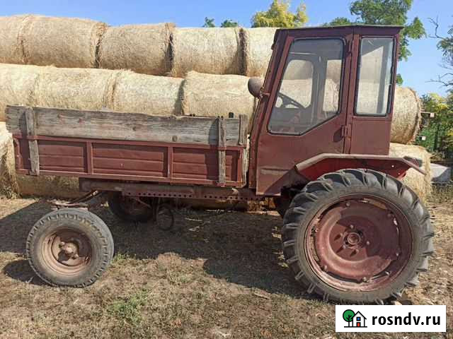Трактор Т-16м Екатериновка - изображение 1