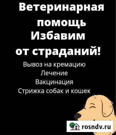 У С Ы П Л Е Н И Е + В Ы В О З. ветеринарная помощь Санкт-Петербург - изображение 1