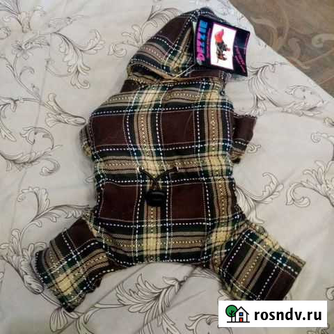 Костюмчик Дзержинск - изображение 1