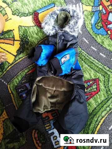 Комбинезон для собачки за фрукты Сочи - изображение 1