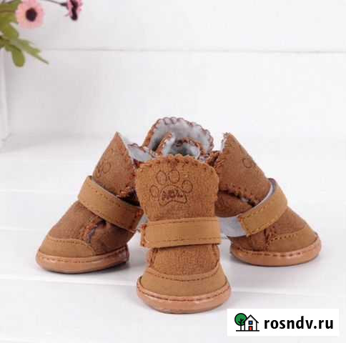 Обувь для собак Анапа - изображение 1