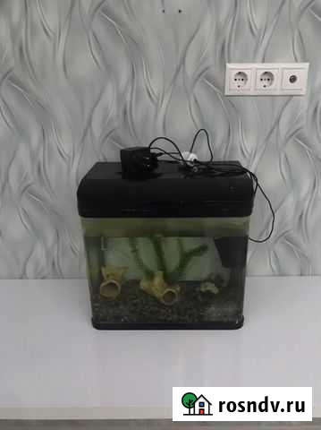 Аквариум 35 литров Свердловский - изображение 1