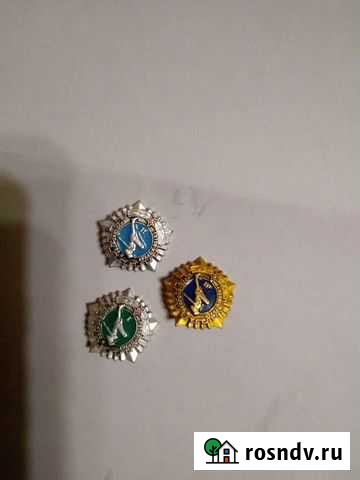 Значки гто Петрозаводск - изображение 1