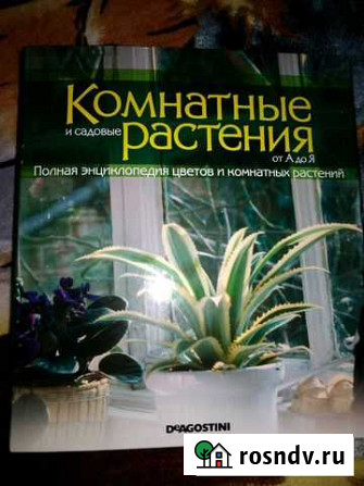 Журналы по цветовадству Пугачев - изображение 1
