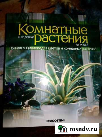 Журналы по цветовадству Пугачев - изображение 1