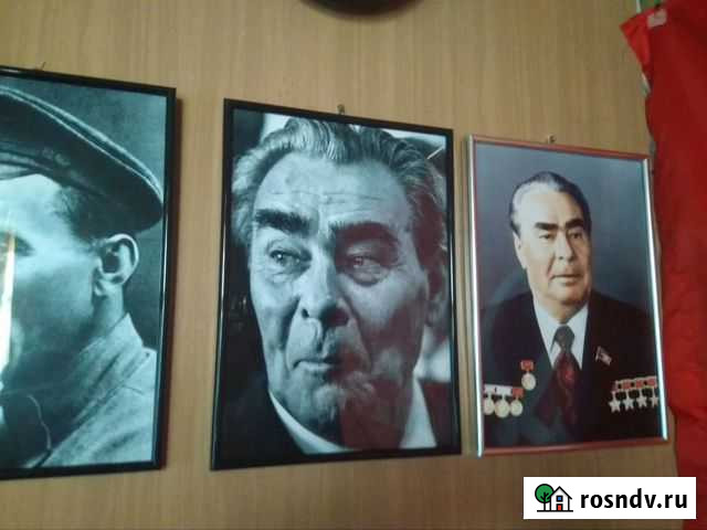 Портреты генерального секретаря цк кпсс СССР Алексеевка - изображение 1