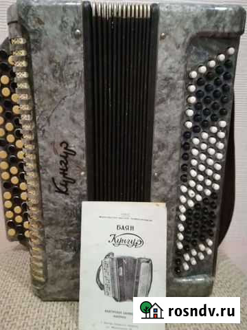 Баян Пермь - изображение 1