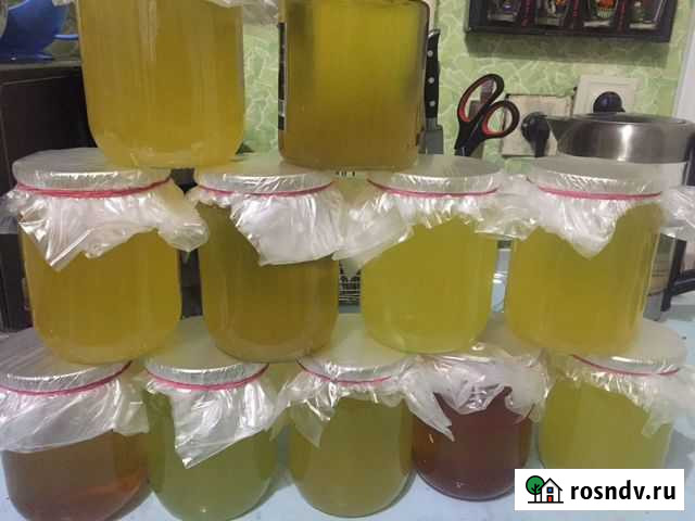 Гусиный жир Иркутск - изображение 1