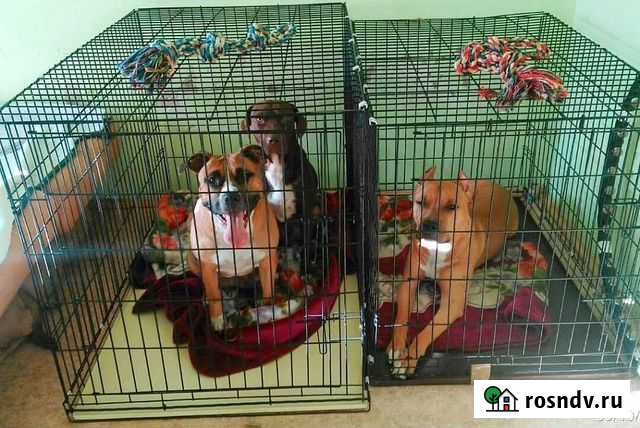 Клетка для собак Ульяновск - изображение 1