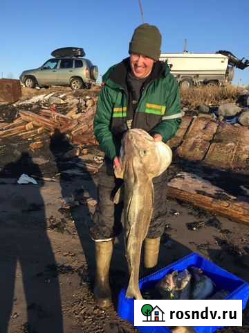 Катер матрикс 17 Мурманск - изображение 1