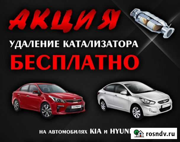 Удаление катализатора, Чип-тюнинг, CBD Бесплатно Пенза - изображение 1