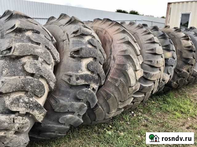 Шины 21.00-28 / 570-711R28 моаз Артем - изображение 1