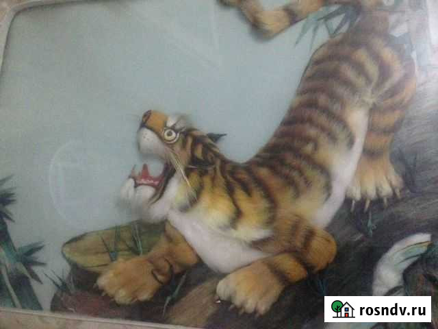 Бенгальский тигр картина Свободный - изображение 1