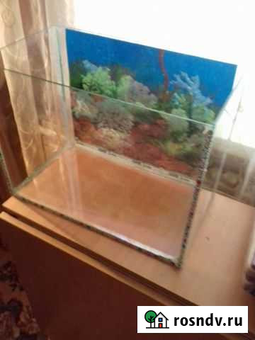 Аквариум Братск - изображение 1